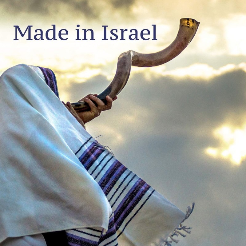 Lion and Eagle Hand Painted Kudu Shofar